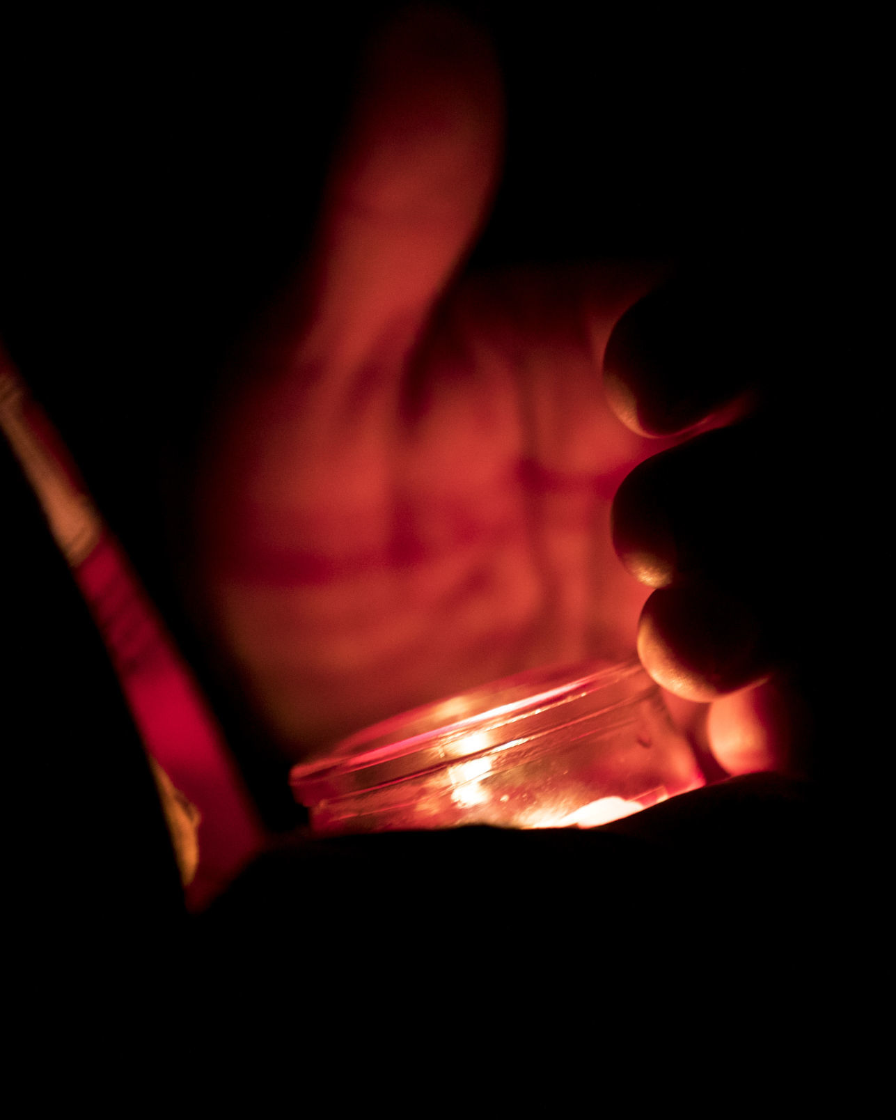 Candlelight vigil